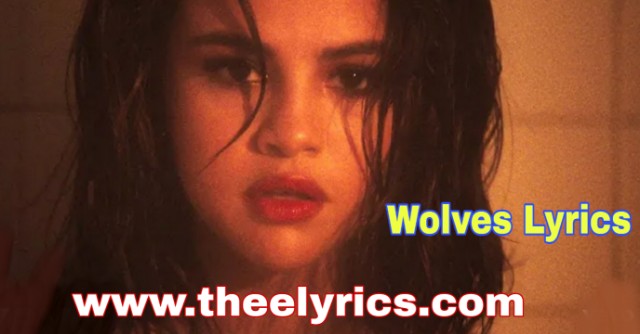wolves selena gomez lyrics | Selena Gomez & Marshmello Lyrics Dawanload